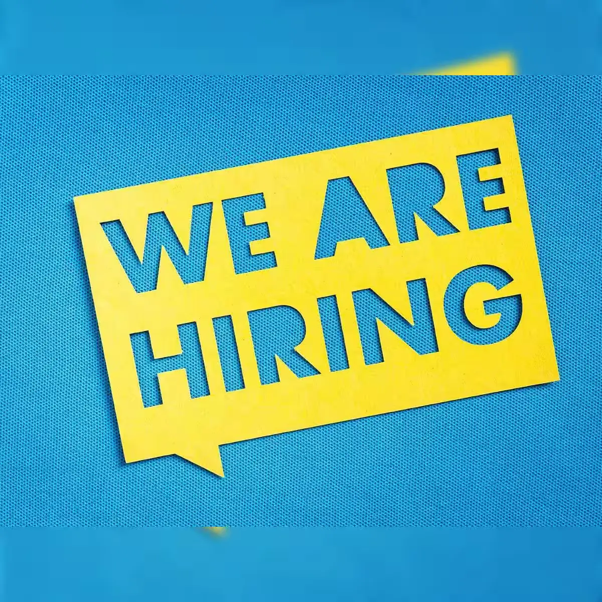 IT and Operations Recruitment in Delhi NCR